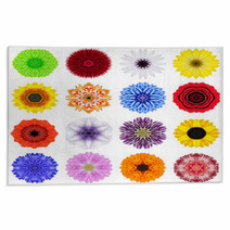 Big Collection Of Various Concentric Flowers Isolated On White Rugs 70388488