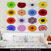 Big Collection Of Various Concentric Flowers Isolated On White Wall Art 70388488