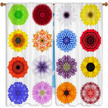 Big Collection Of Various Concentric Flowers Isolated On White Window Curtains 70388488