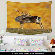 Big Fallow Deer Buck Wall Art 52710389