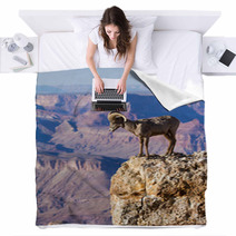 Big Horn Ram Standing On The Edge Of Grand Canyon Blankets 51006352