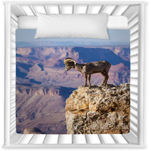 Big Horn Ram Standing On The Edge Of Grand Canyon Nursery Decor 51006352