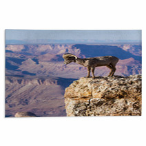 Big Horn Ram Standing On The Edge Of Grand Canyon Rugs 51006352