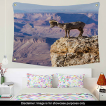 Big Horn Ram Standing On The Edge Of Grand Canyon Wall Art 51006352
