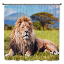 Big Lion Lying On Savannah Grass. Kenya, Africa Bath Decor 58606525