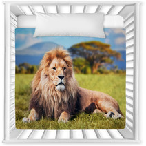 Big Lion Lying On Savannah Grass. Kenya, Africa Nursery Decor 58606525