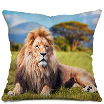 Big Lion Lying On Savannah Grass. Kenya, Africa Pillows 58606525
