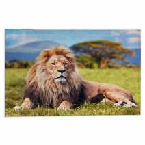 Big Lion Lying On Savannah Grass. Kenya, Africa Rugs 58606525
