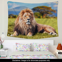 Big Lion Lying On Savannah Grass. Kenya, Africa Wall Art 58606525