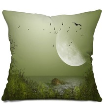 Big Moon Pillows 55311231