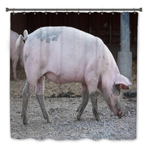 Big Pig Full-length Profile Bath Decor 72877788