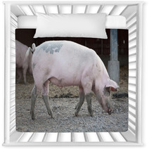 Big Pig Full-length Profile Nursery Decor 72877788