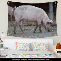 Big Pig Full-length Profile Wall Art 72877788