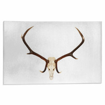 Big Red Deer Hunting Trophy Rugs 71693320