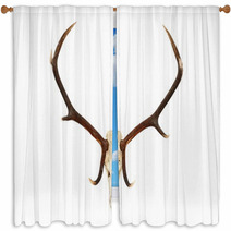 Big Red Deer Hunting Trophy Window Curtains 71693320