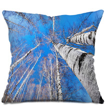 Birchwood Pillows 62112380