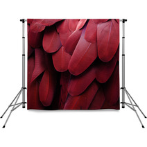 Bird Feathers (Red) Backdrops 65977464