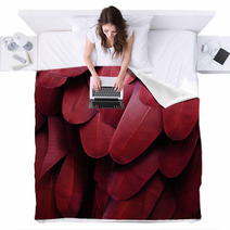 Bird Feathers (Red) Blankets 65977464