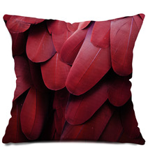 Bird Feathers (Red) Pillows 65977464
