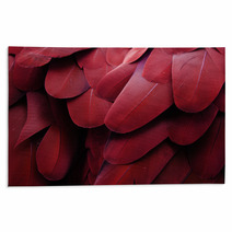 Bird Feathers (Red) Rugs 65977464