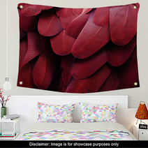 Bird Feathers (Red) Wall Art 65977464