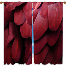 Bird Feathers (Red) Window Curtains 65977464