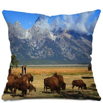 Bison And Mormon Row Barn In The Grand Tetons Pillows 61317413
