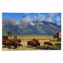Bison And Mormon Row Barn In The Grand Tetons Rugs 61317413