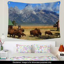 Bison And Mormon Row Barn In The Grand Tetons Wall Art 61317413