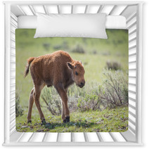 Bison Calf Nursery Decor 65169259