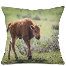 Bison Calf Pillows 65169259
