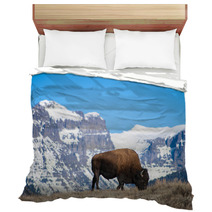 Bison Grazing Near Snow-Capped Peaks Bedding 64162145
