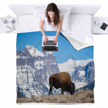 Bison Grazing Near Snow-Capped Peaks Blankets 64162145