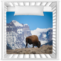 Bison Grazing Near Snow-Capped Peaks Nursery Decor 64162145