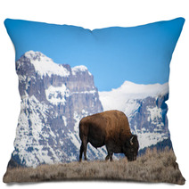 Bison Grazing Near Snow-Capped Peaks Pillows 64162145