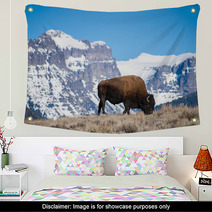Bison Grazing Near Snow-Capped Peaks Wall Art 64162145