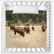Bison Grazing Nursery Decor 55565621