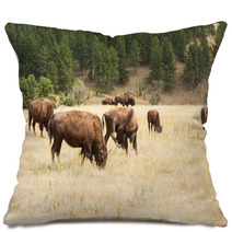 Bison Grazing Pillows 55565621