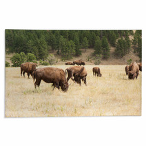 Bison Grazing Rugs 55565621