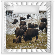 Bison In The Snow Nursery Decor 59710185