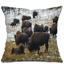 Bison In The Snow Pillows 59710185