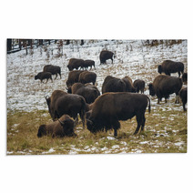 Bison In The Snow Rugs 59710185