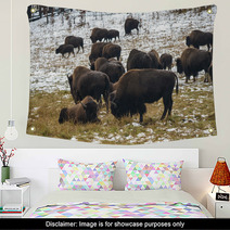 Bison In The Snow Wall Art 59710185