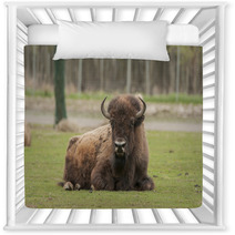 Bison Nursery Decor 52951981