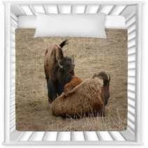 Bison Nursery Decor 53639012