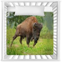 Bison Nursery Decor 54376516