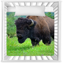 Bison Nursery Decor 54547891