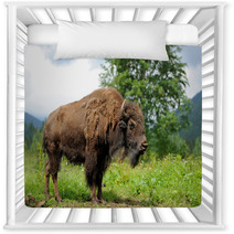 Bison Nursery Decor 59167421