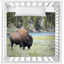 Bison Nursery Decor 61579045