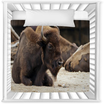 Bison Nursery Decor 62575457